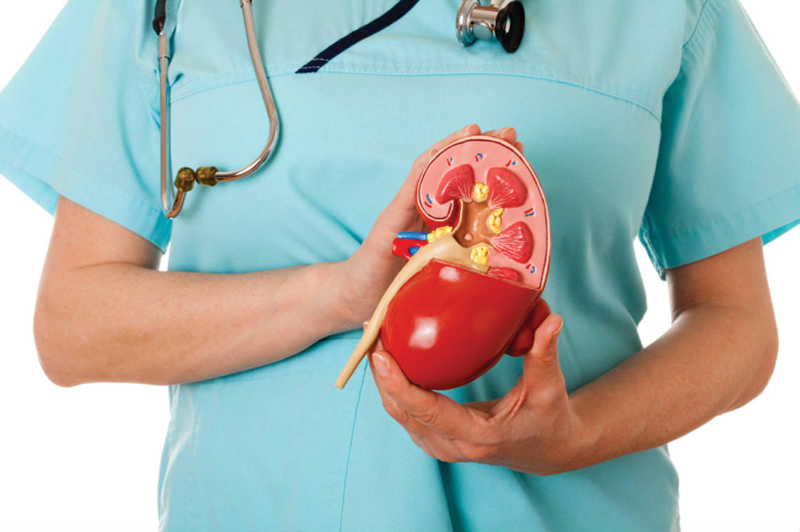 Litotripsia renal a laser