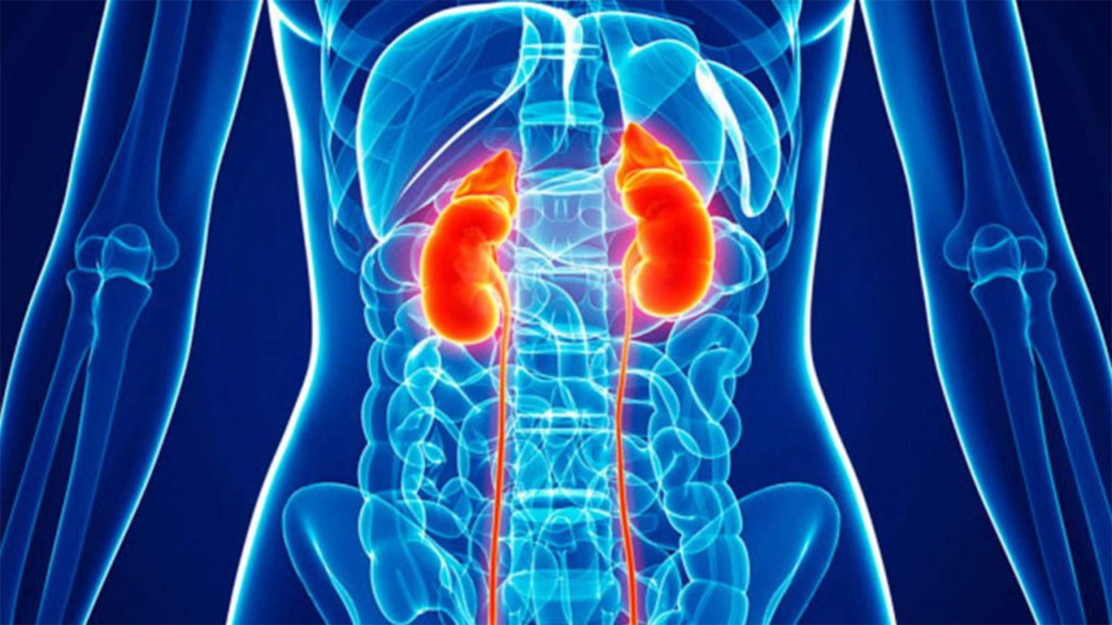 Como o câncer de rim é diagnosticado - Dr. Paulo Salustiano